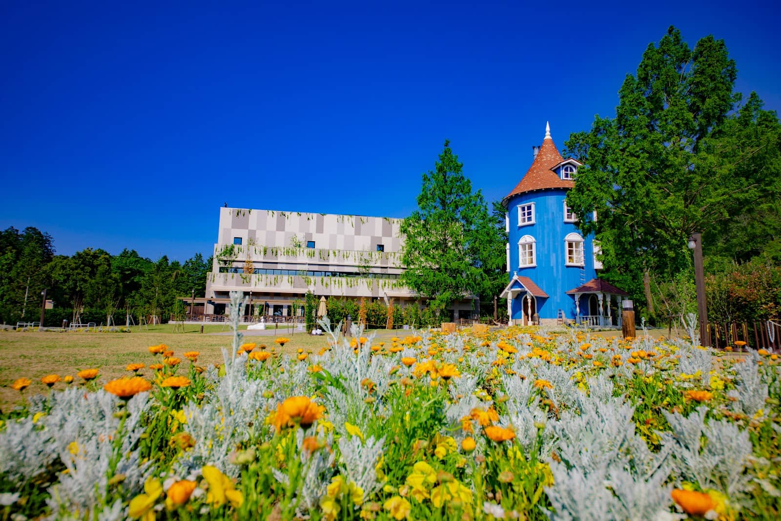 Character Meet-and-Greets