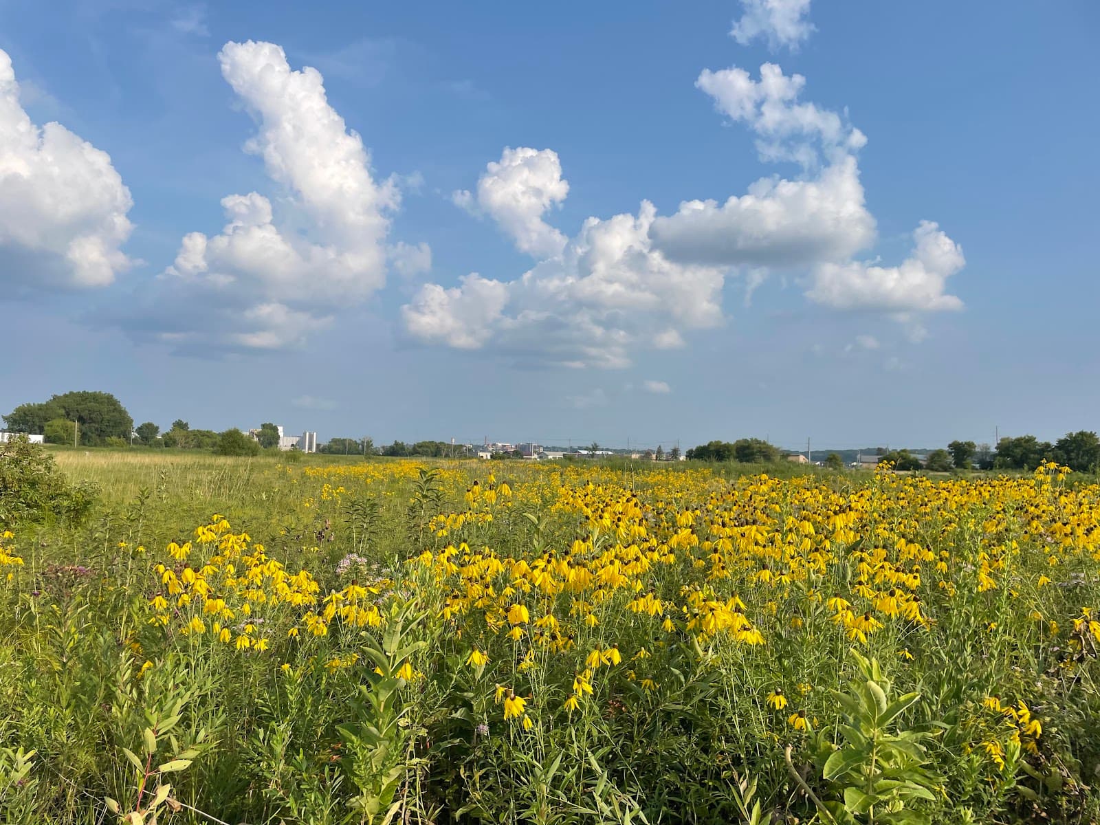 Cascade Meadow Wetlands - Image 1
