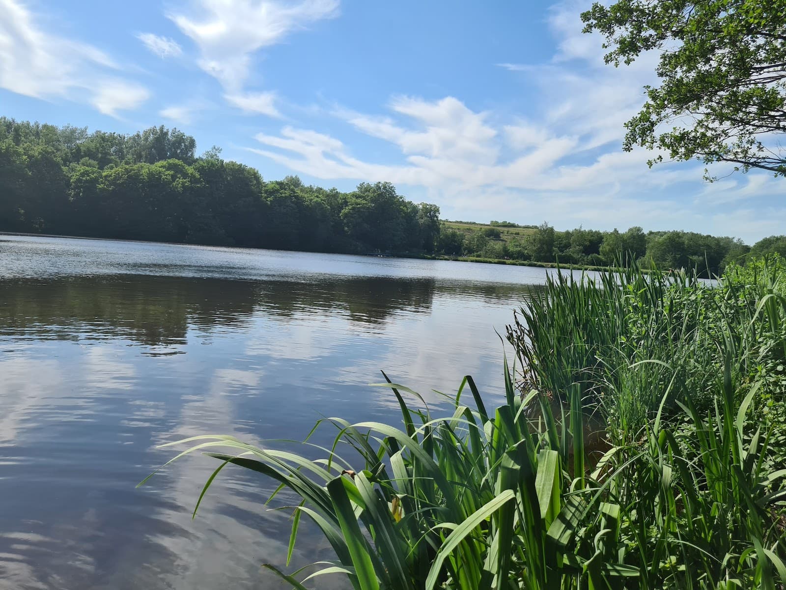 Rowley Lake - Image 1