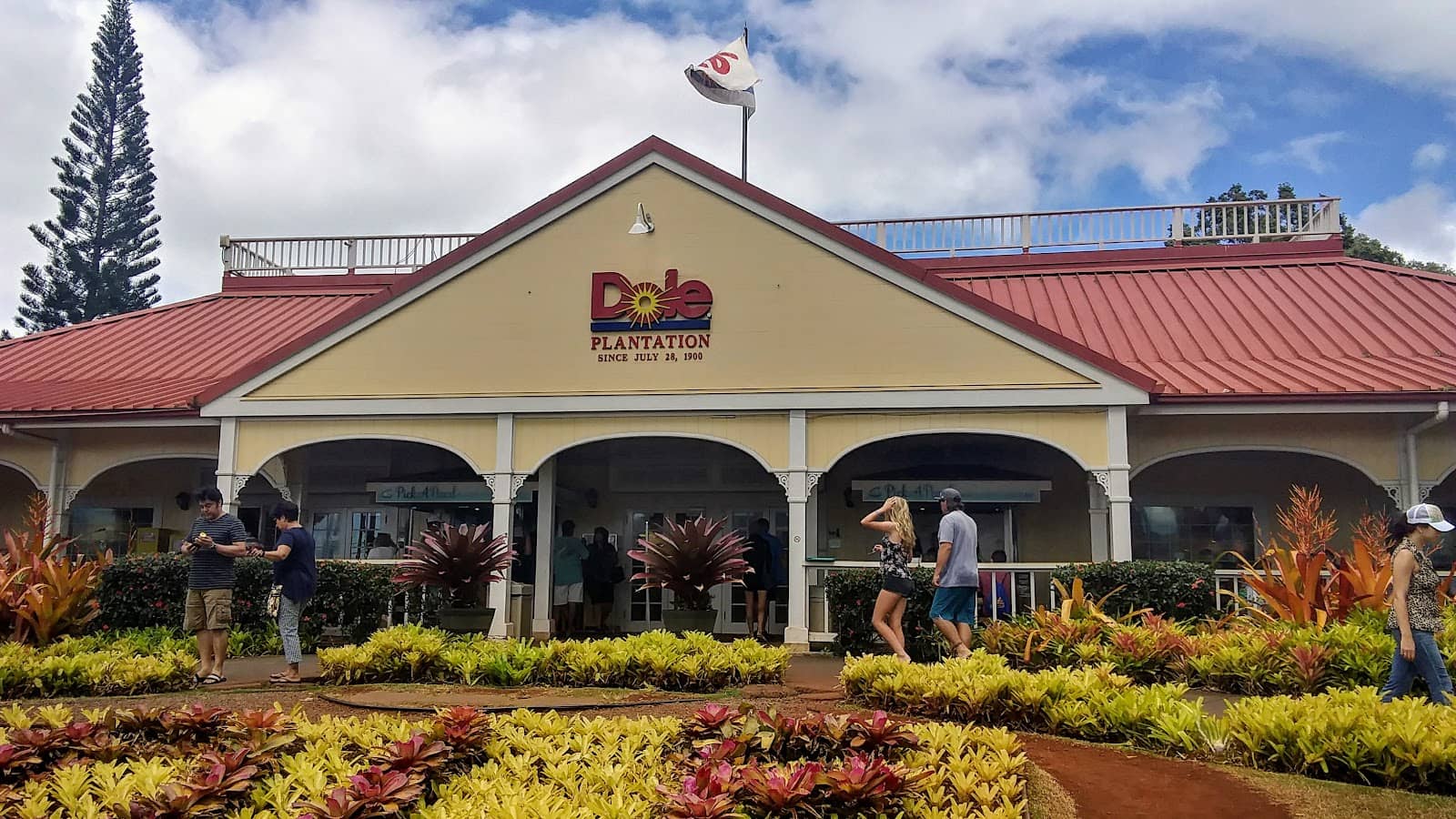 Haleiwa Town Exploration