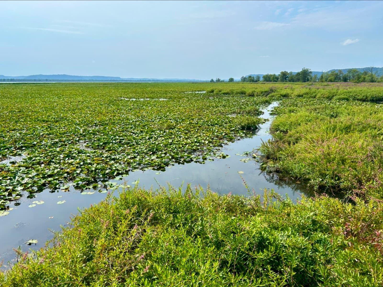 Trempealeau National Wildlife Refuge - Image 1
