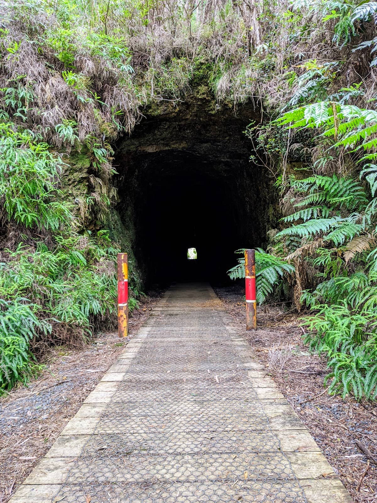 Spray Tunnel Loop Trail
