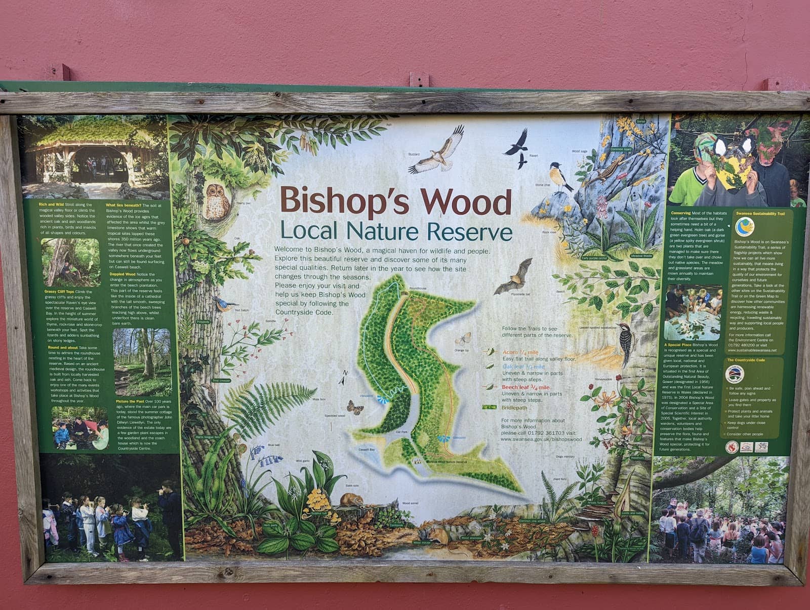 Limestone Grassland Views