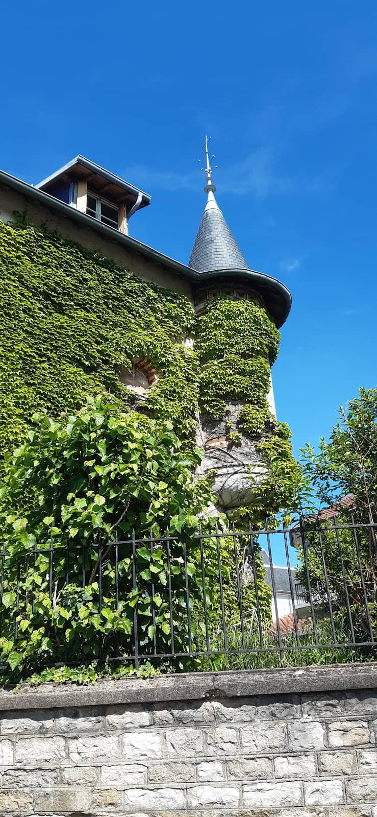 Vertical photo