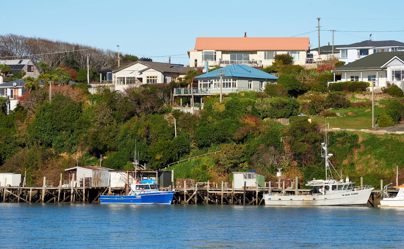 Mores Scenic Reserve