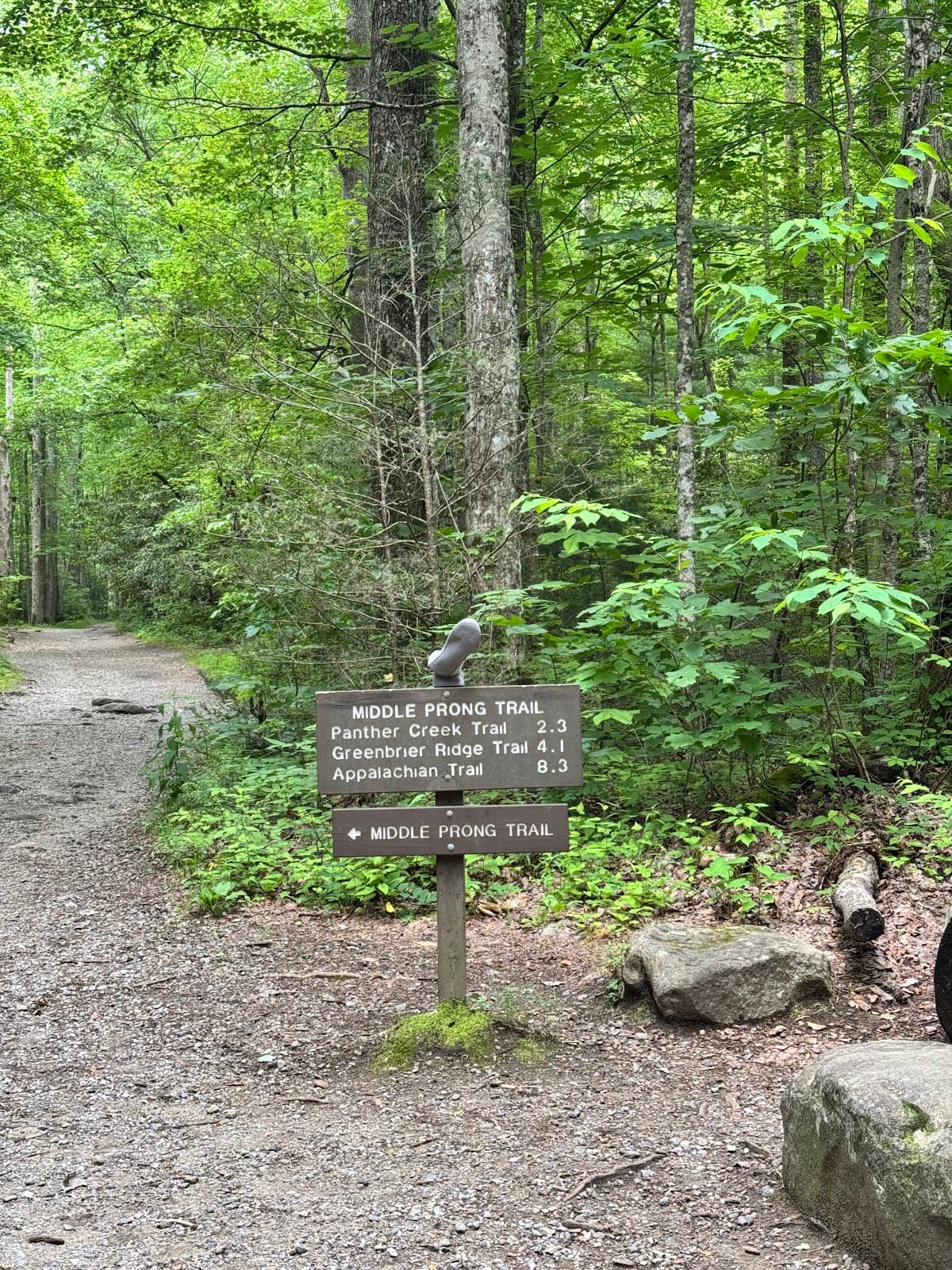 Middle Prong Trail - Image 1