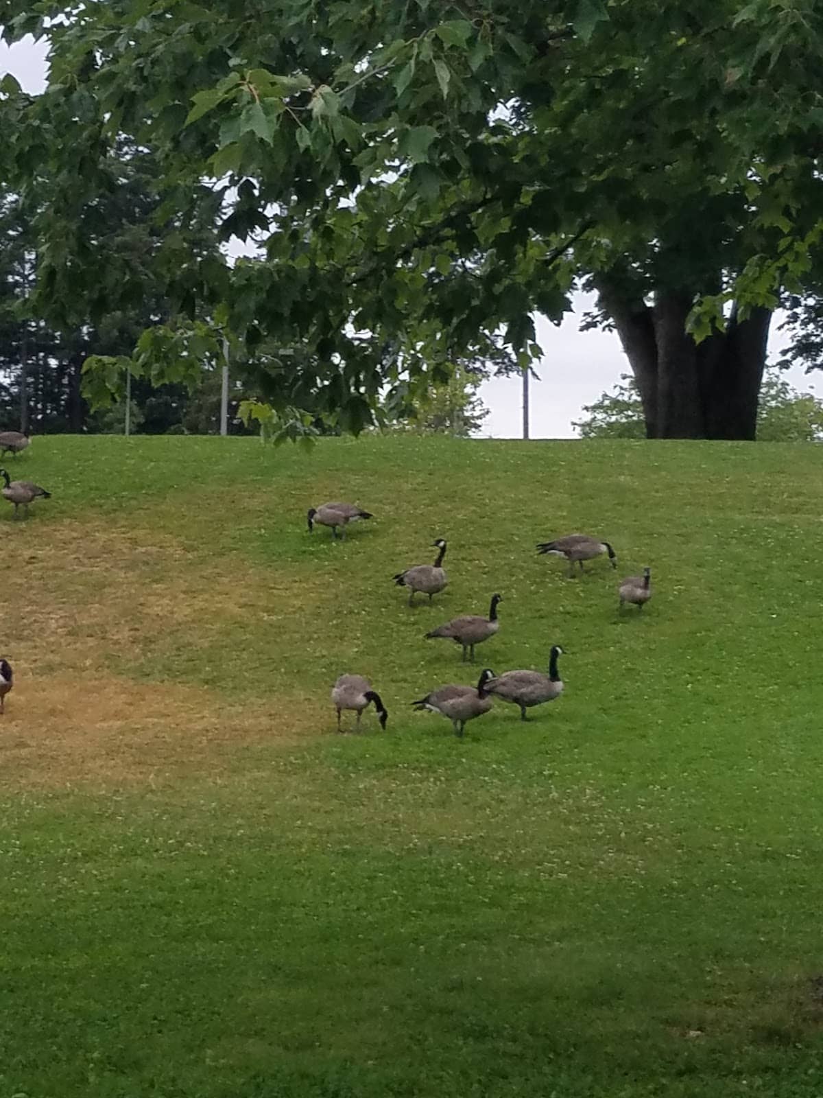 Beach Volleyball Court