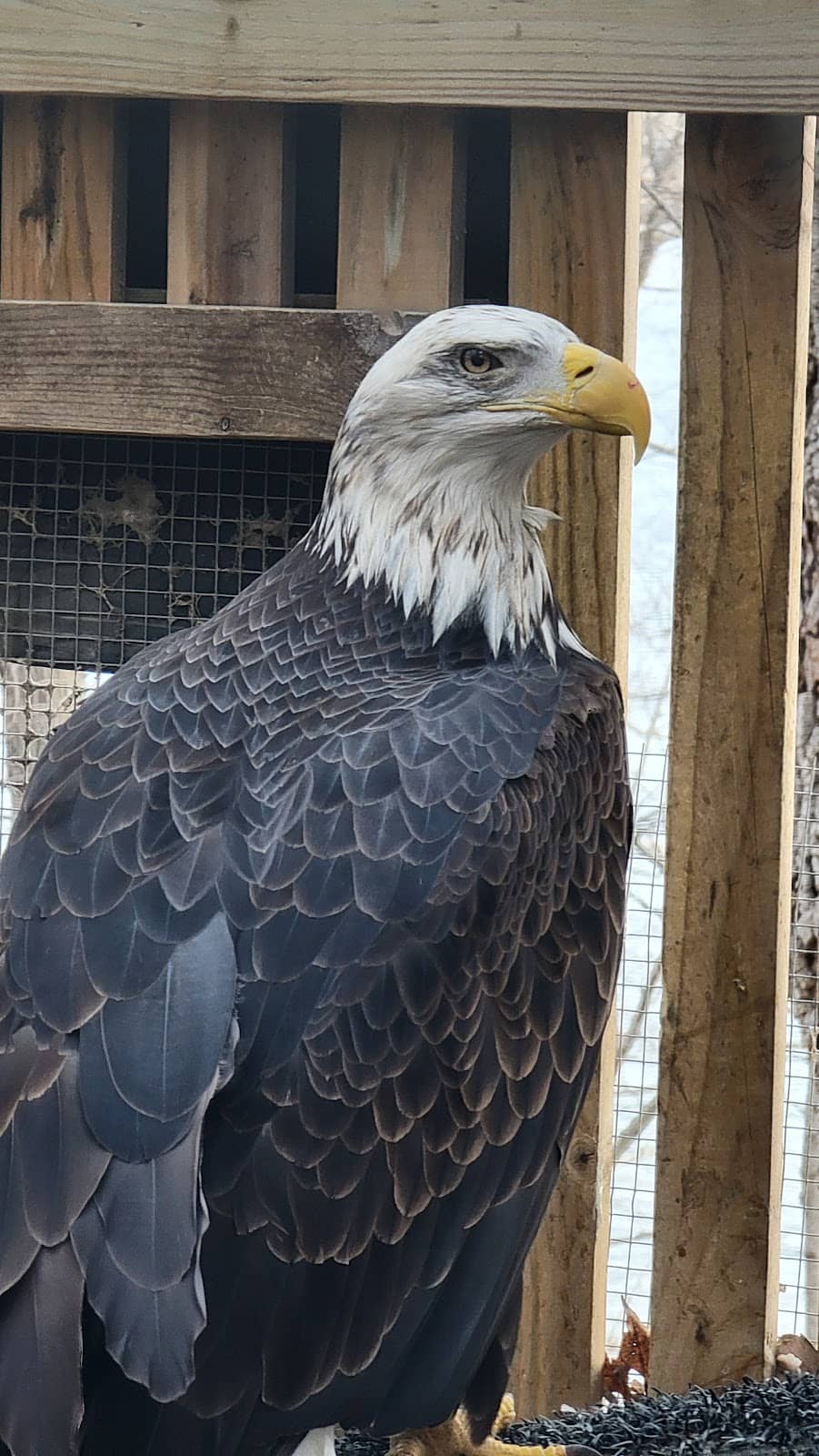 Nature Trails & Bird Blind