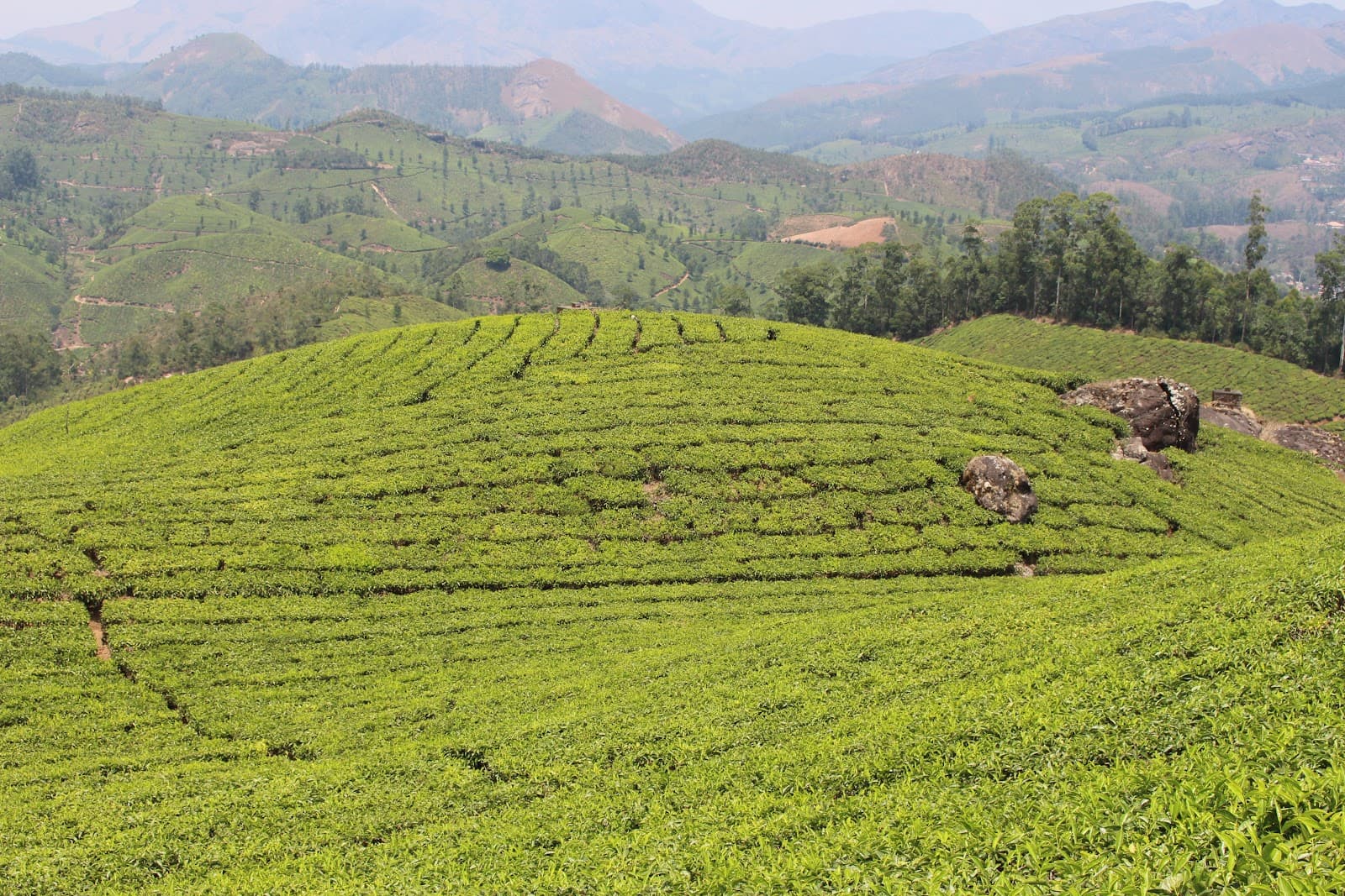 Sevenmallay Tea Estate Viewpoint - Image 1