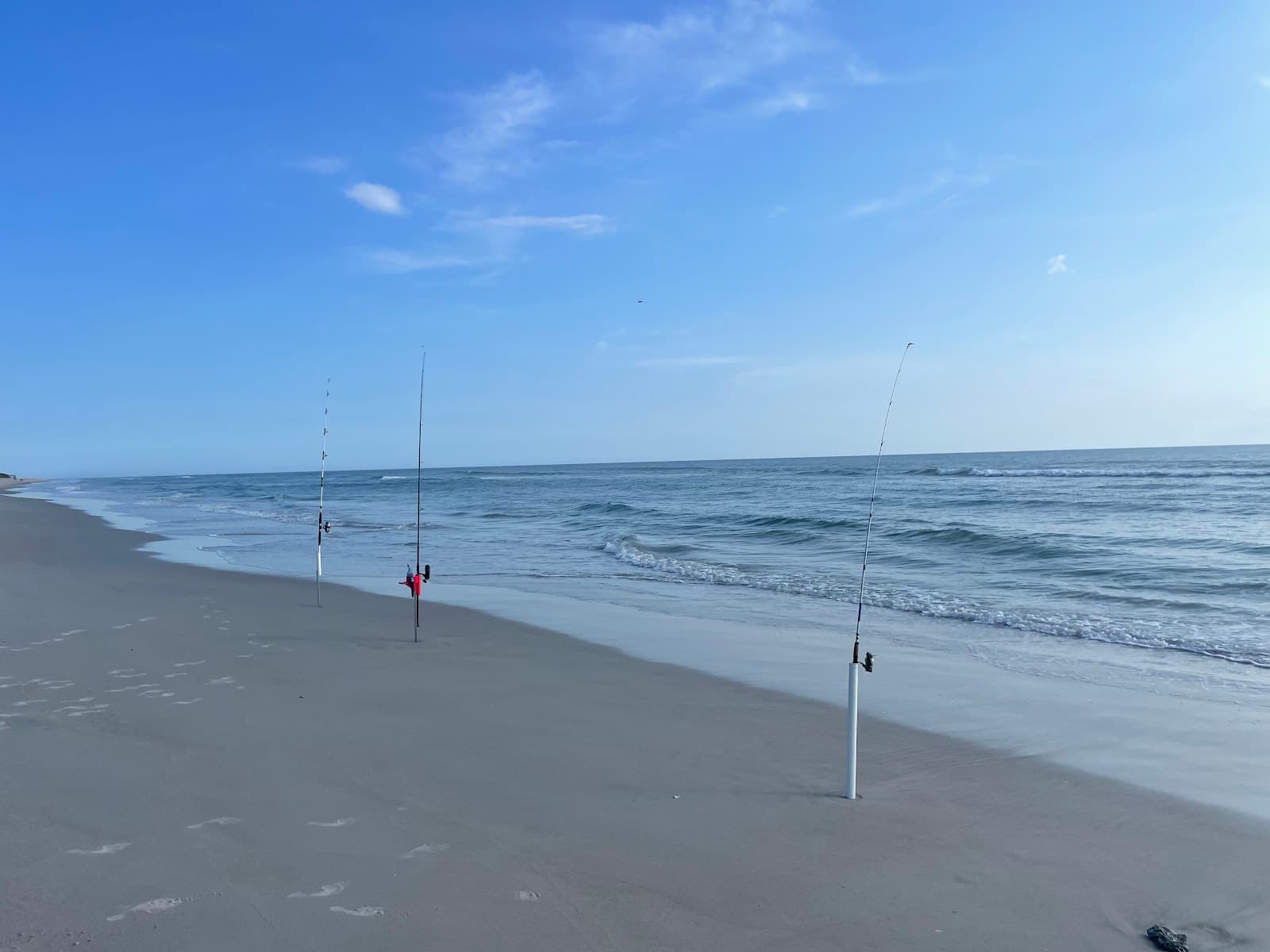 Playalinda Beach Canaveral National Seashore - Image 1