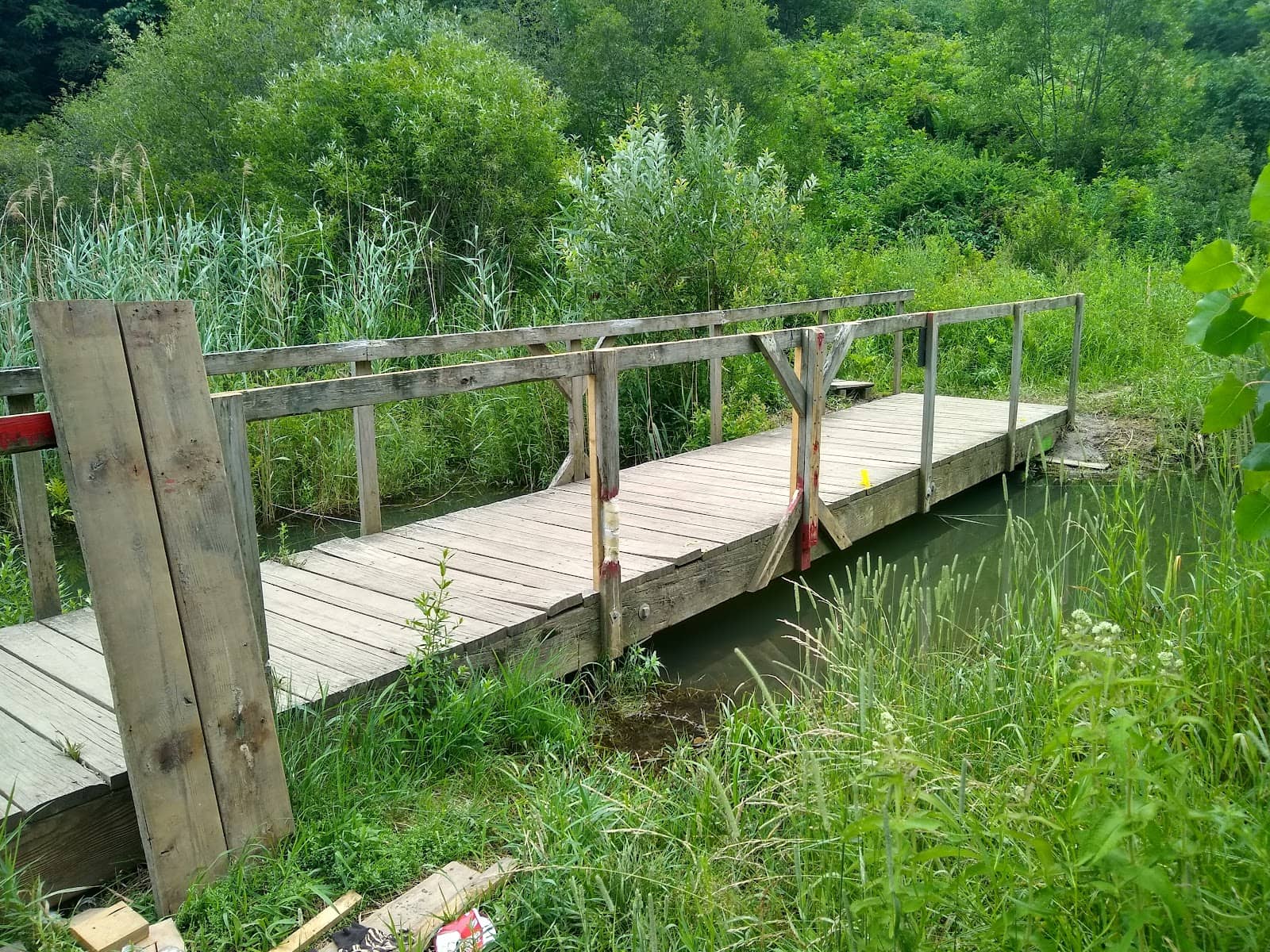 Stream Crossings