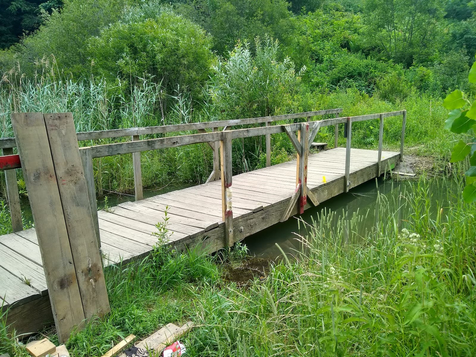 Centennial Woods Natural Area - Image 1