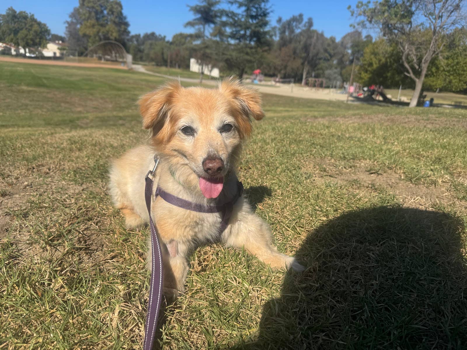 Picnic Spots