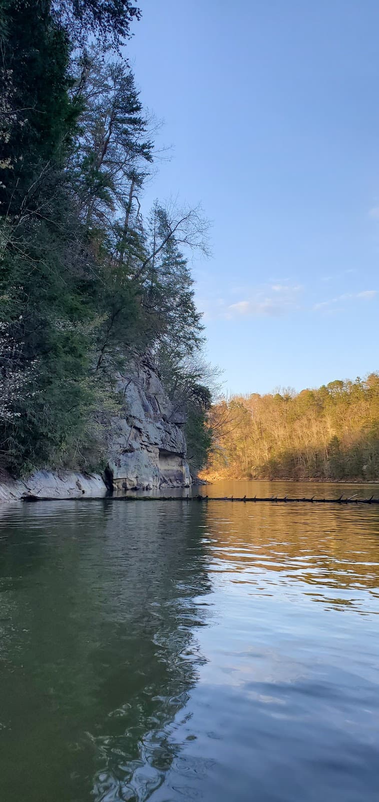 Laurel River Trail #4 - Image 1