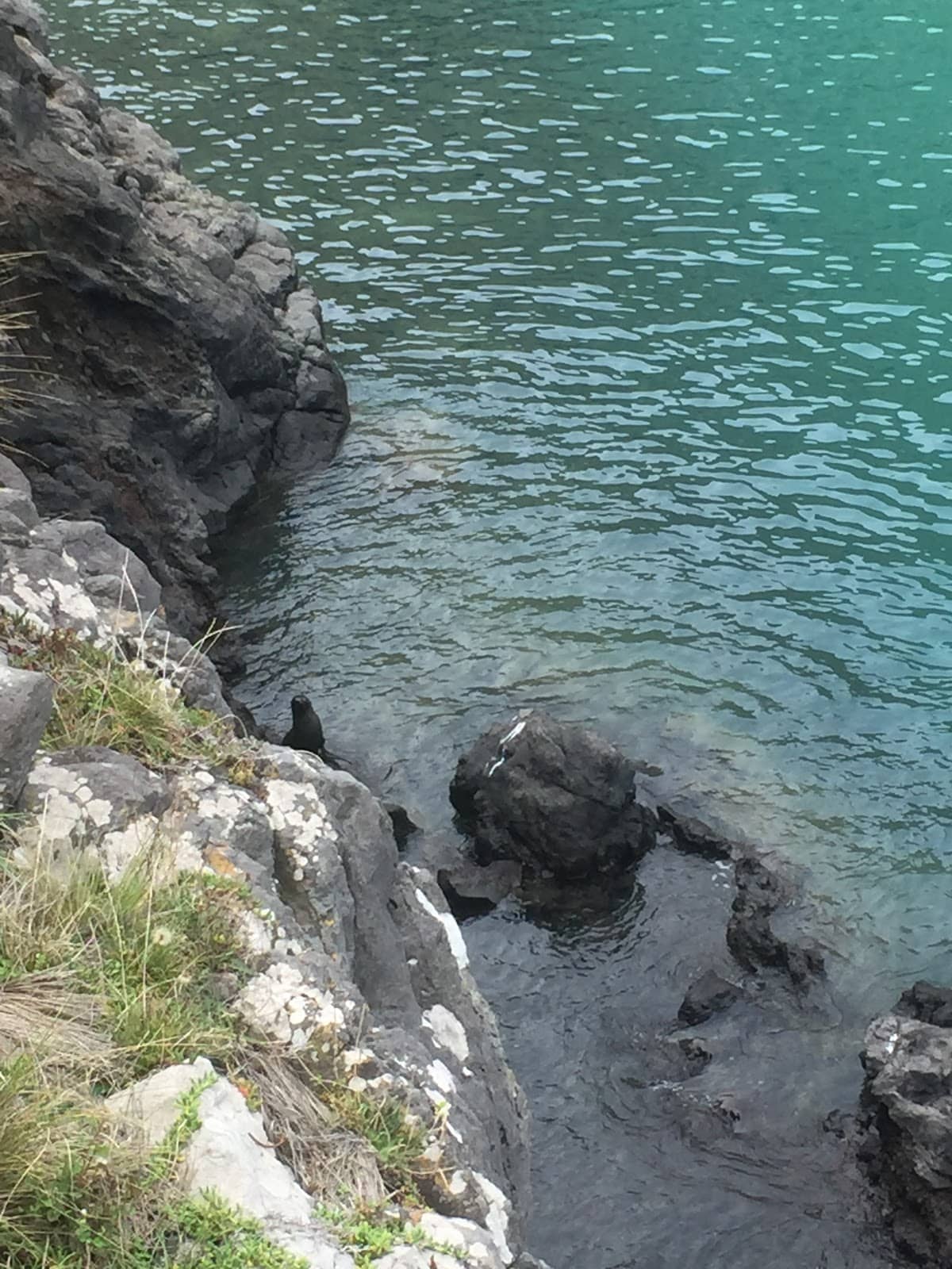 Vertical photo