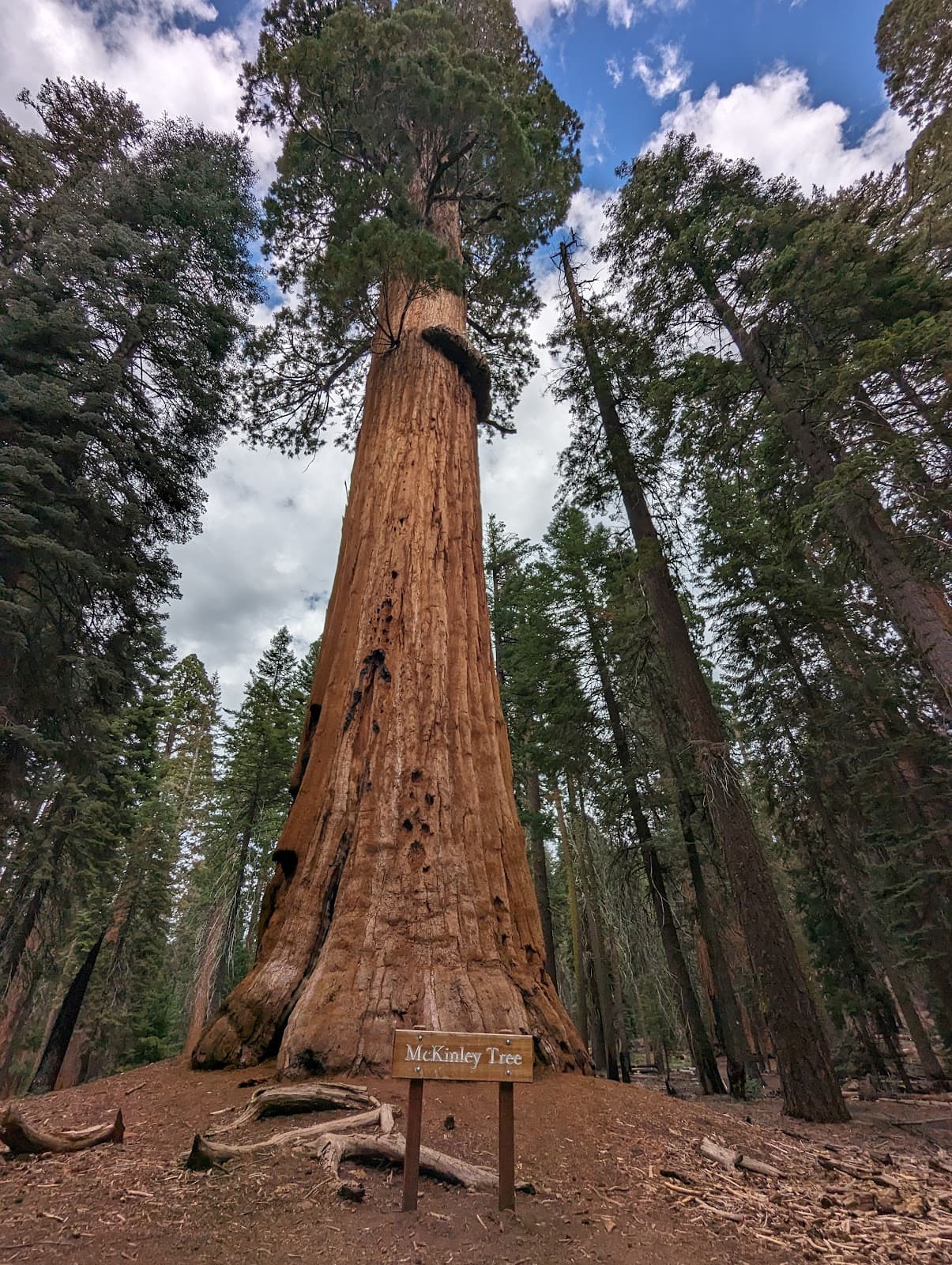 Congress Trail - Image 1