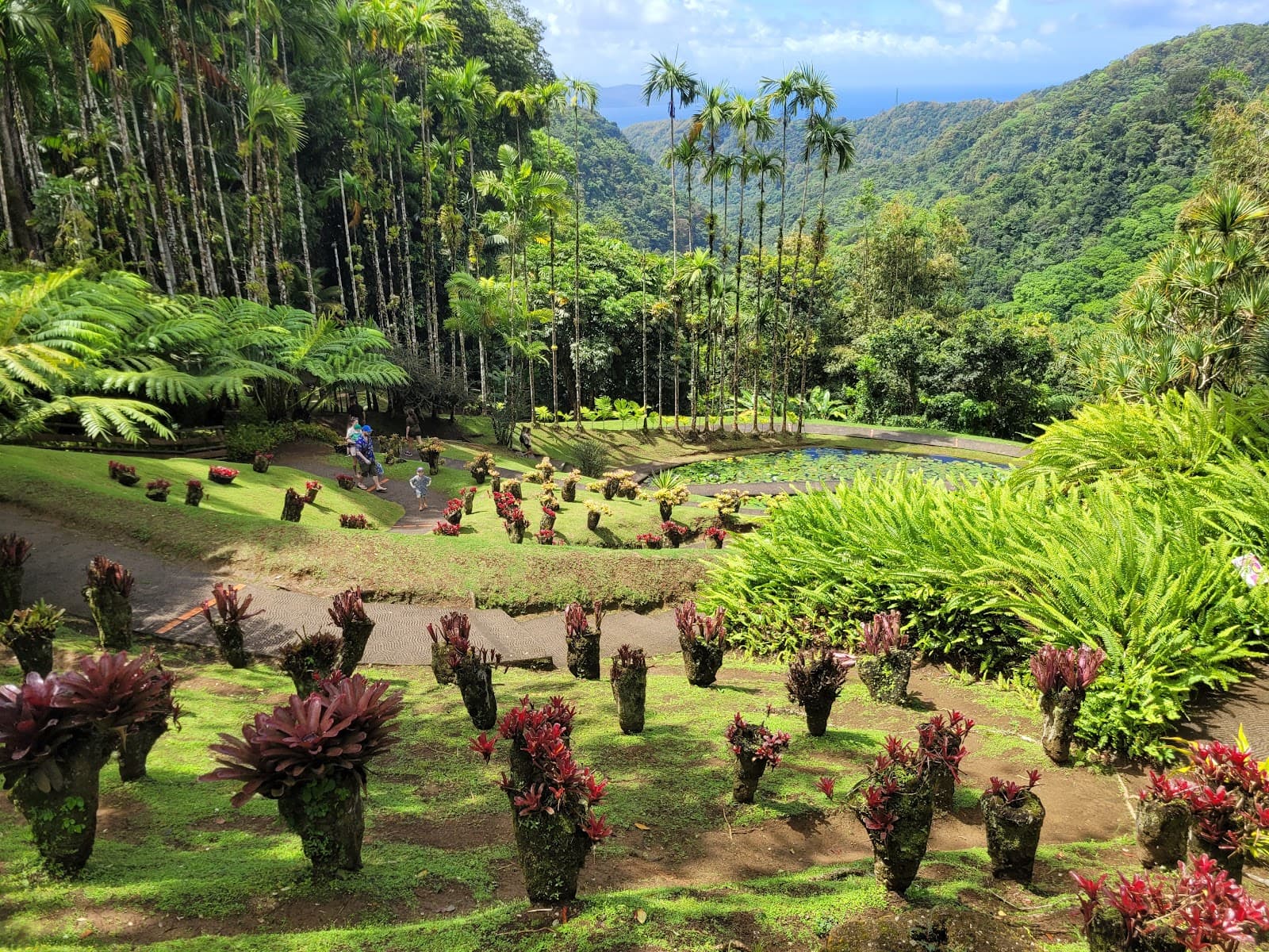 Parc naturel régional de la Martinique - Image 1