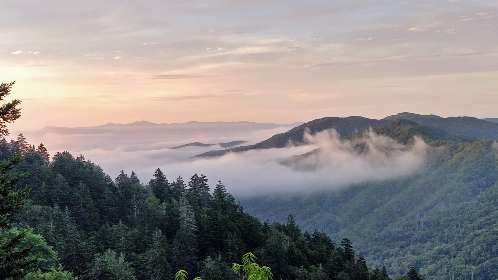 Newfound Gap - Image 1