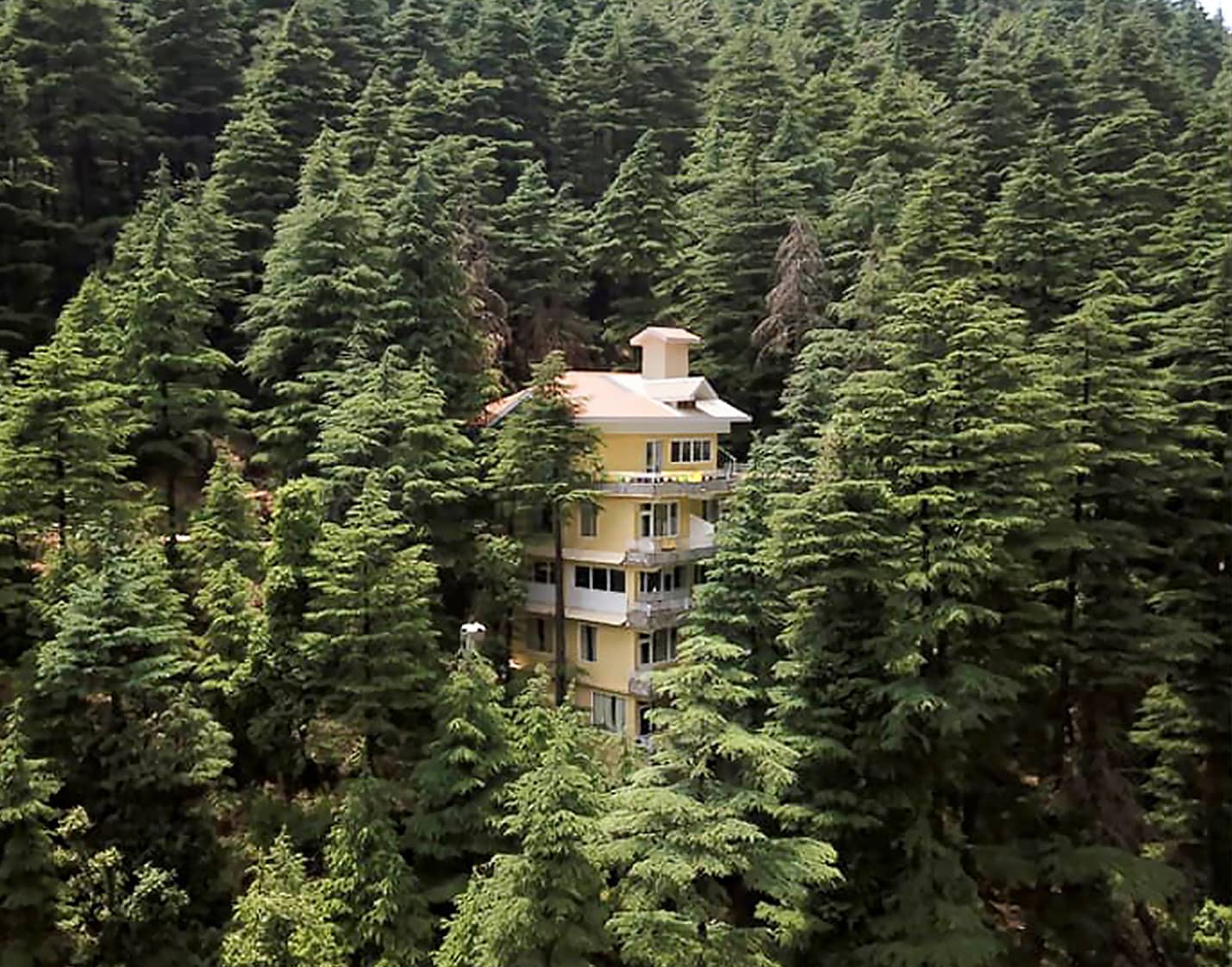 Authentic Kerala Cuisine