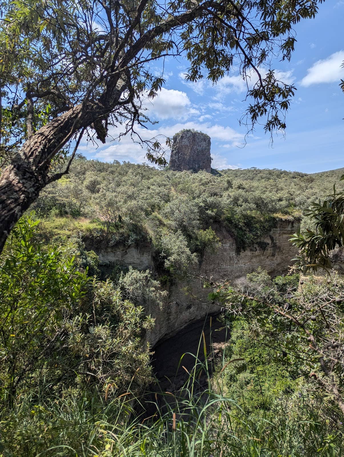 Vertical photo