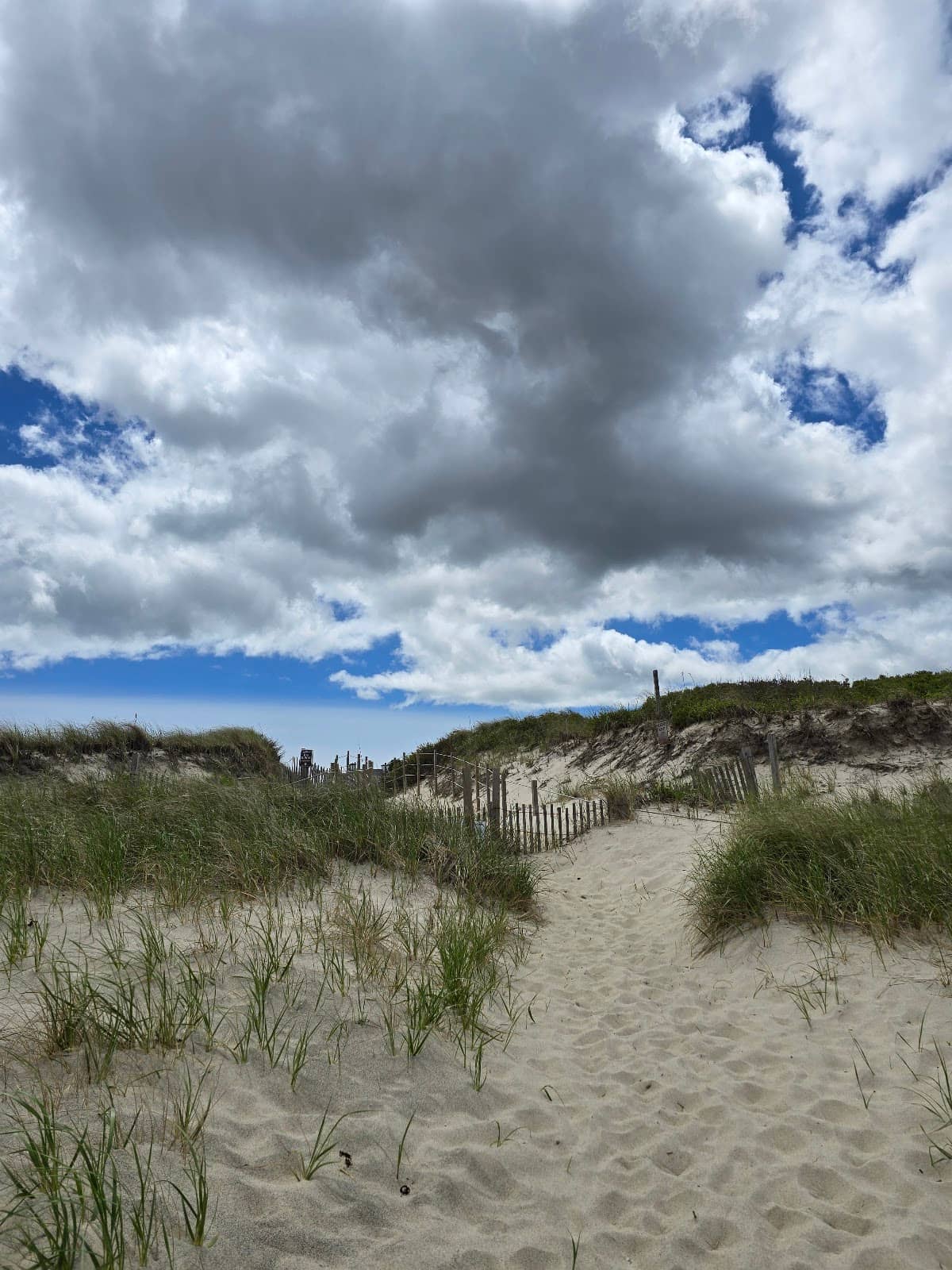 Friendly Beach Community