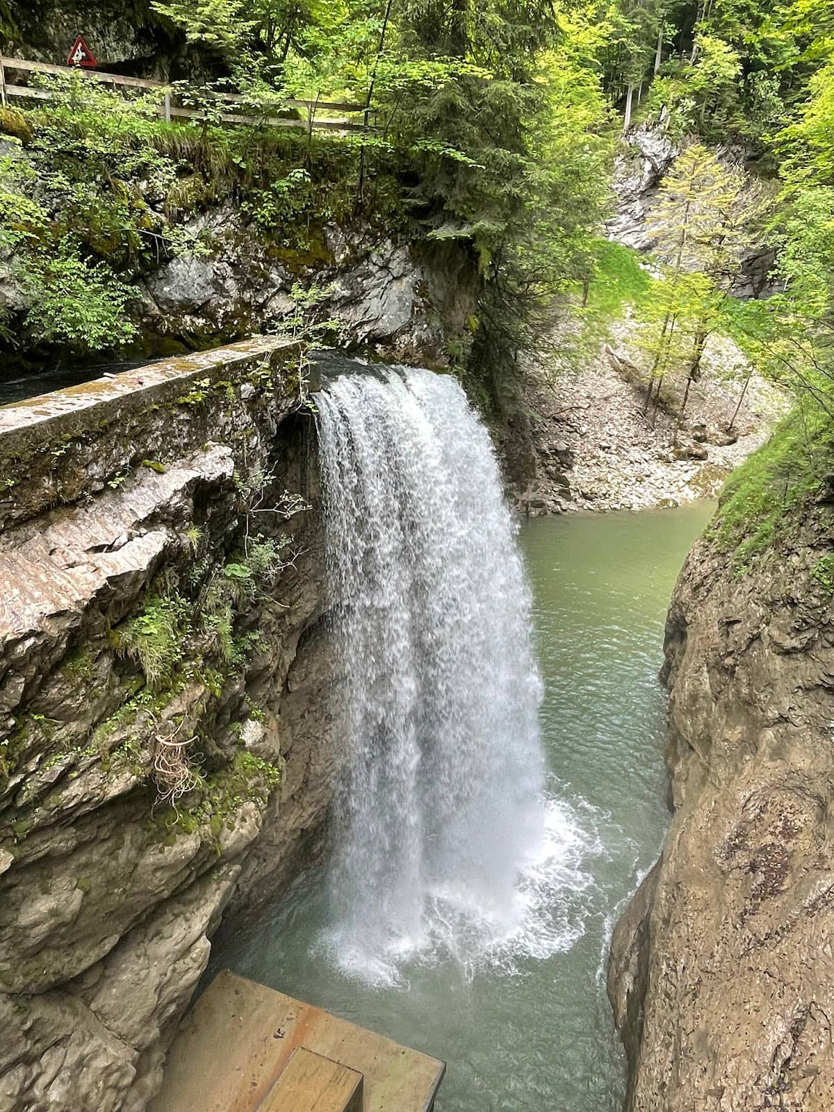 Vertical photo