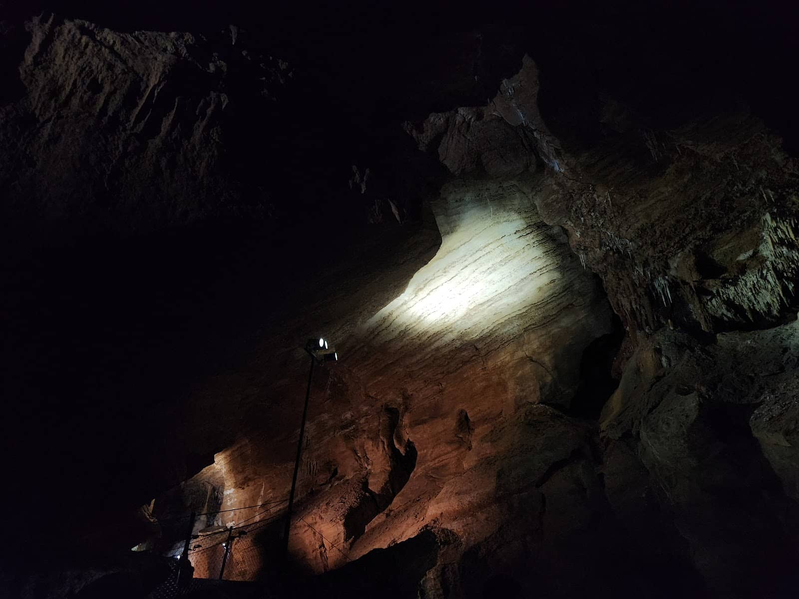 Scenic Park Exploration