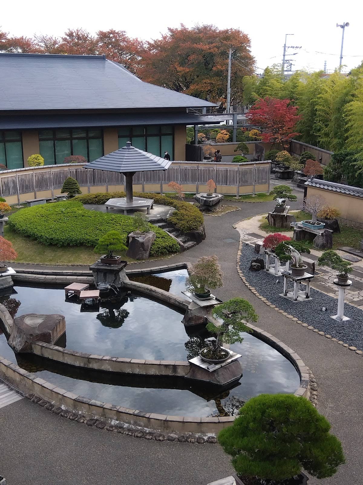 Peaceful Bonsai Garden