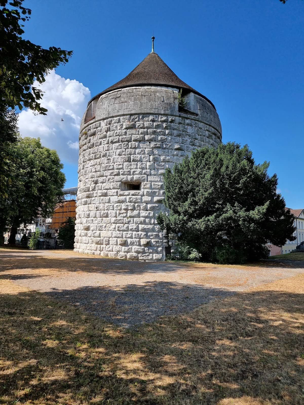 Vertical photo