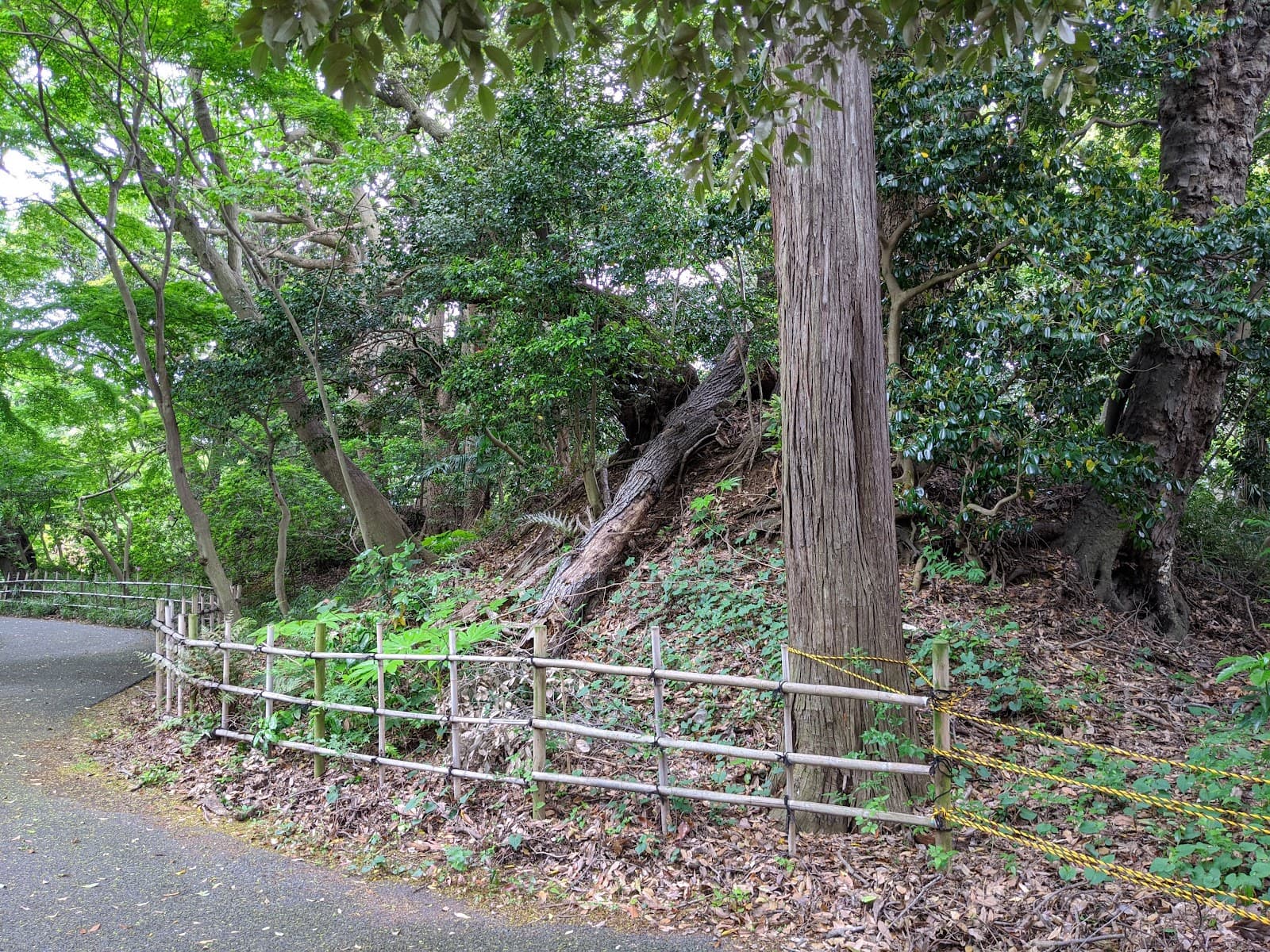 Zenyo-ji Kofun Group - Image 1