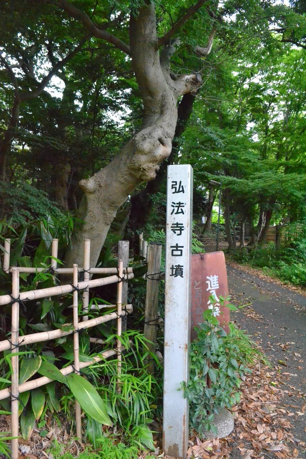Vertical photo