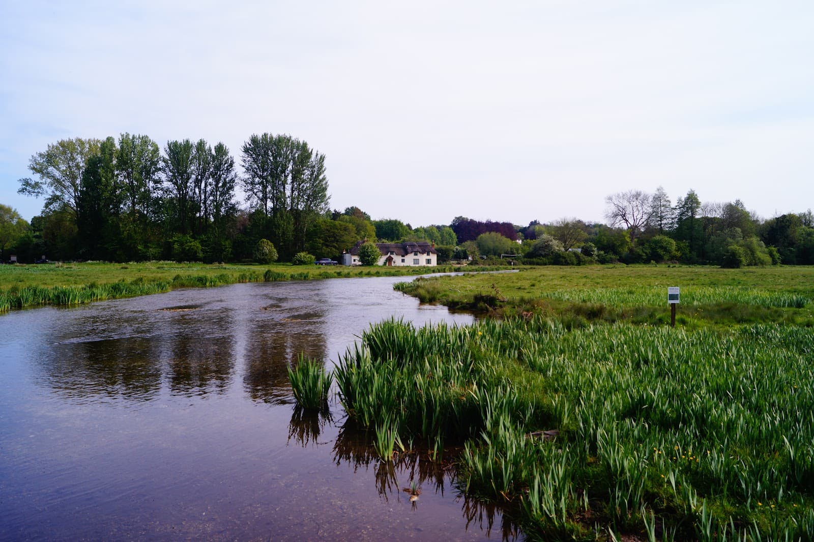 Chilbolton Cow Common - Image 1