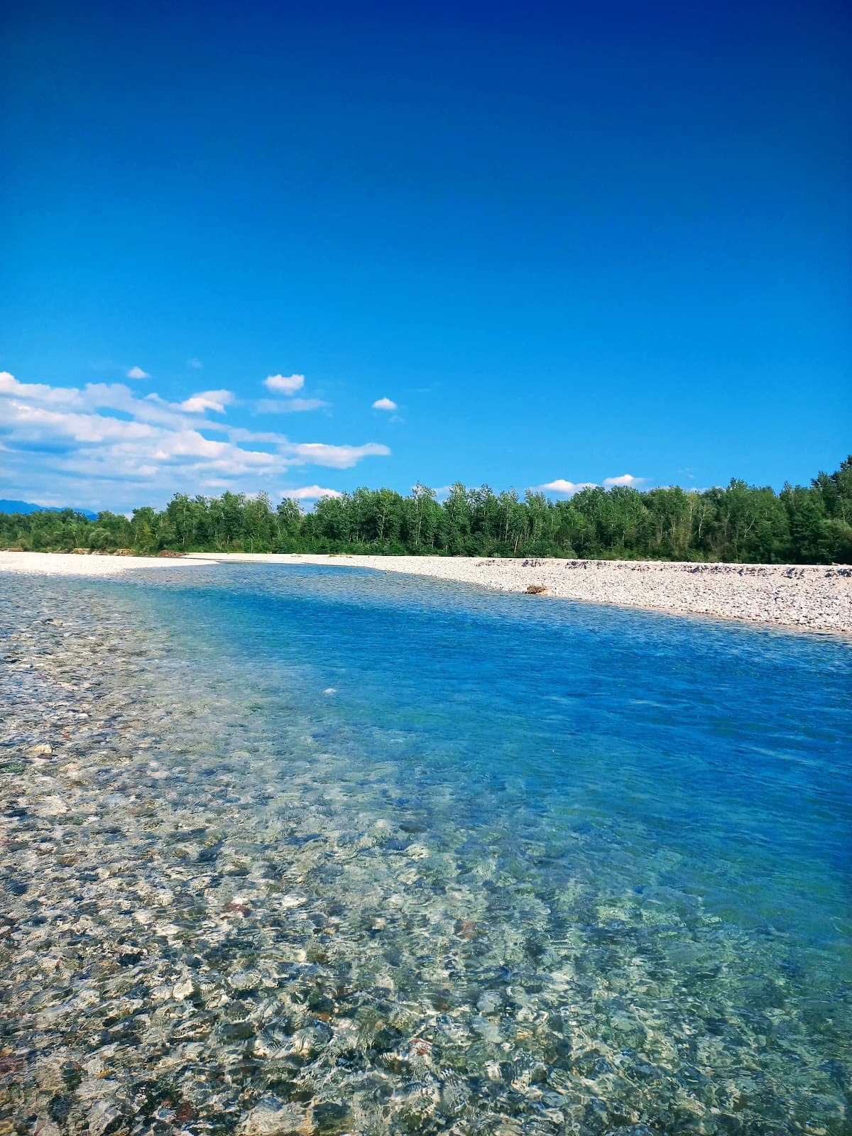 Tagliamento River Mouth - Image 1