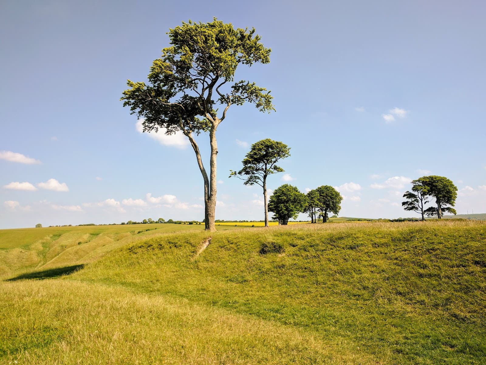 Roundway Down & Oliver's Castle - Image 1