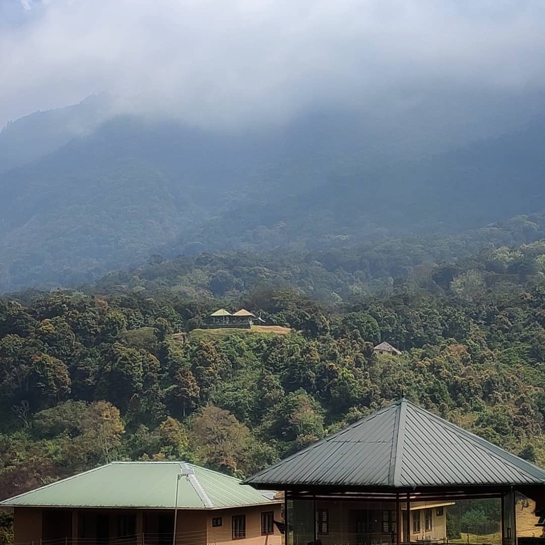 Shola Forest and Grassland Views