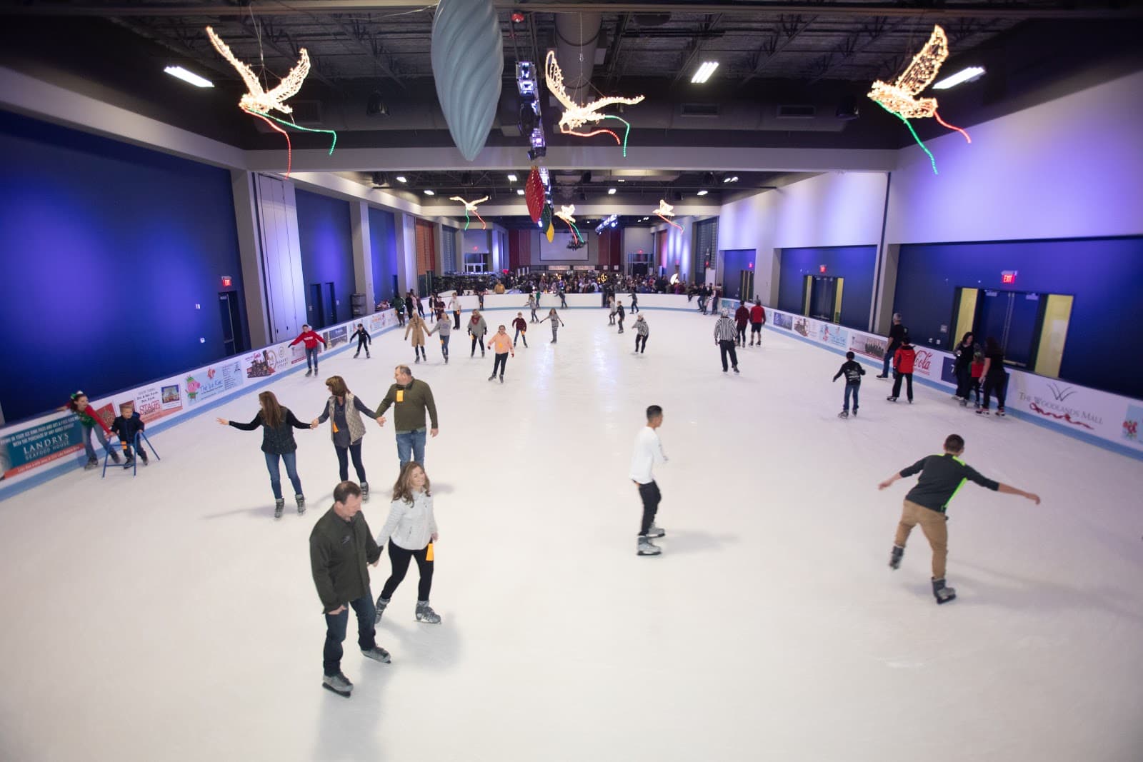The Ice Rink (The Woodlands) - Image 1