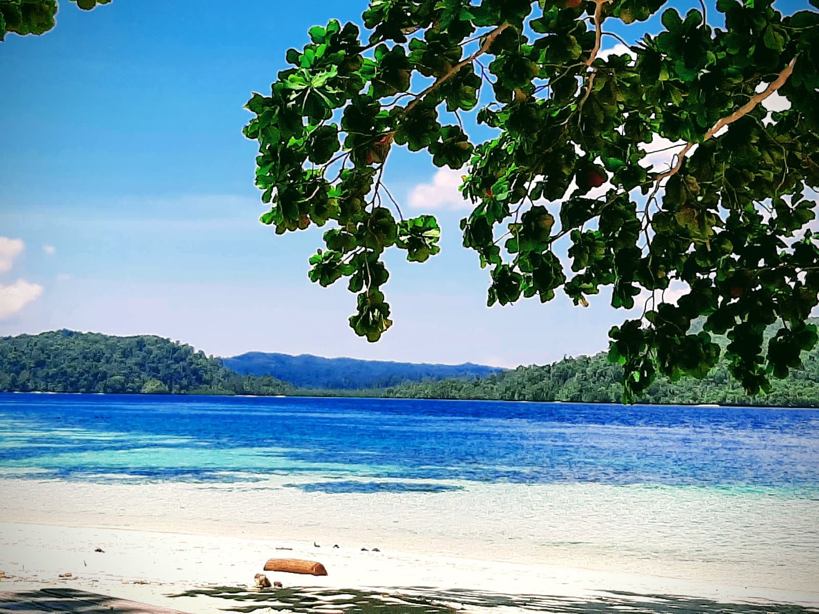 Friwen Beach Raja Ampat - Image 1