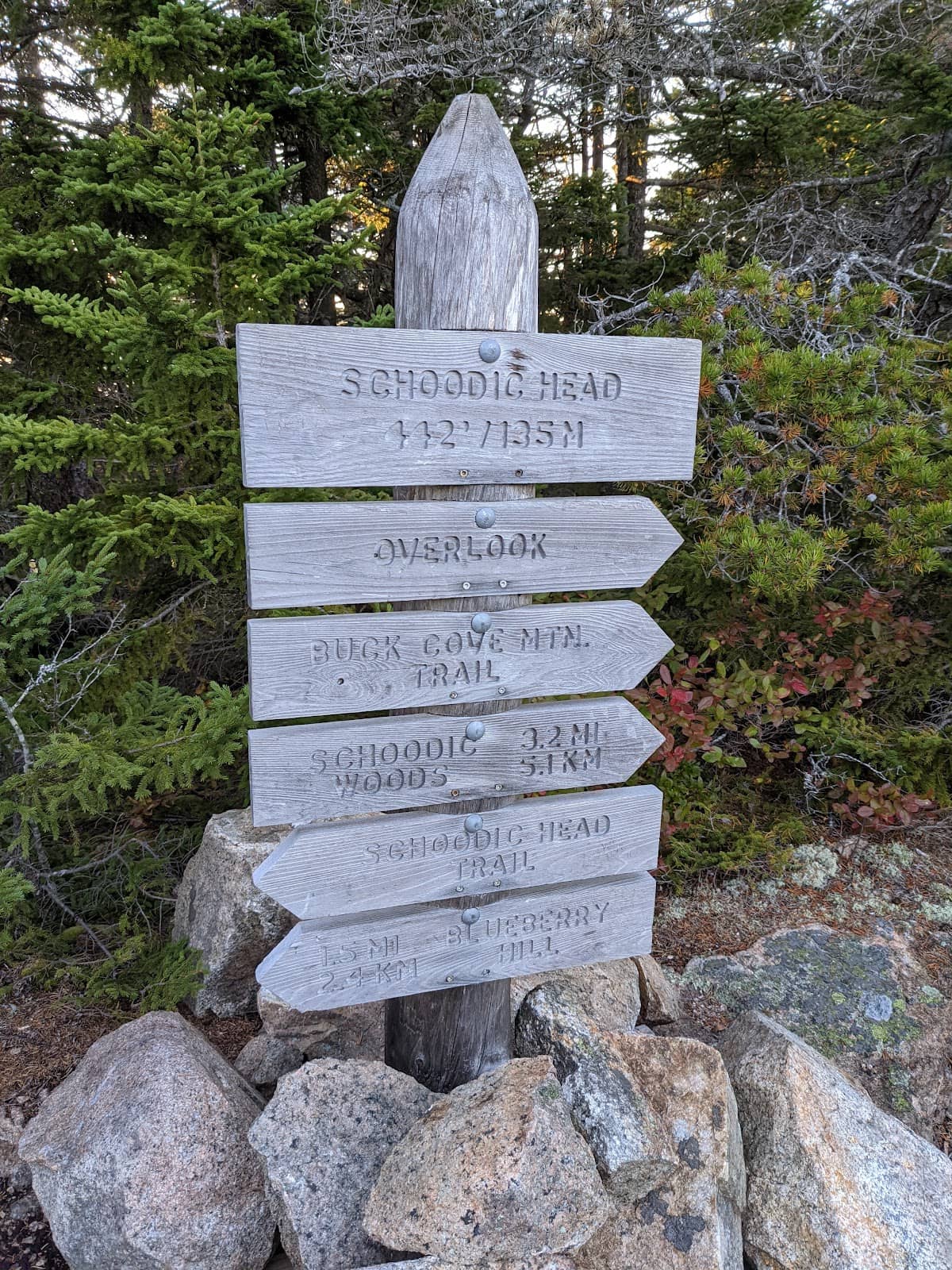 Vertical photo