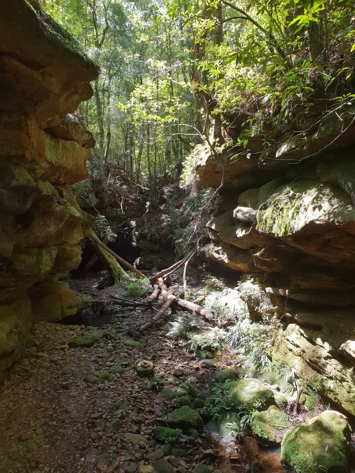 The Viewing Platform