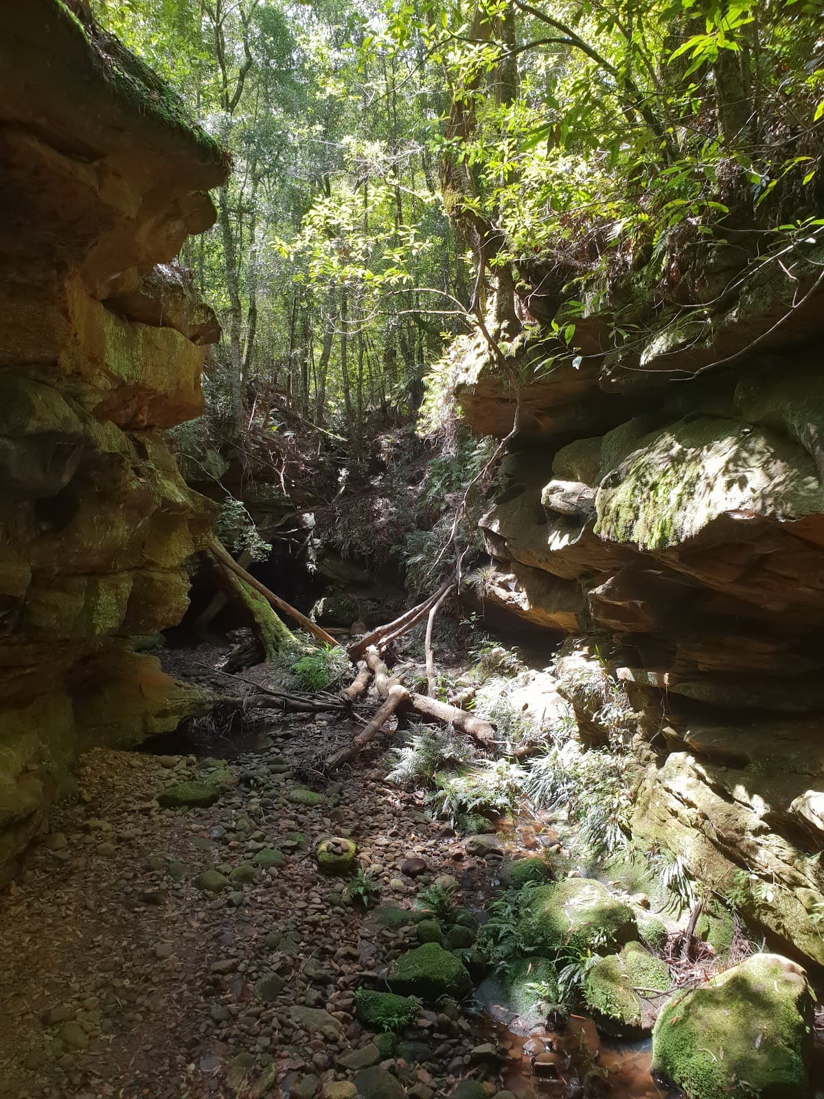 Glow Worm Glen - Image 1