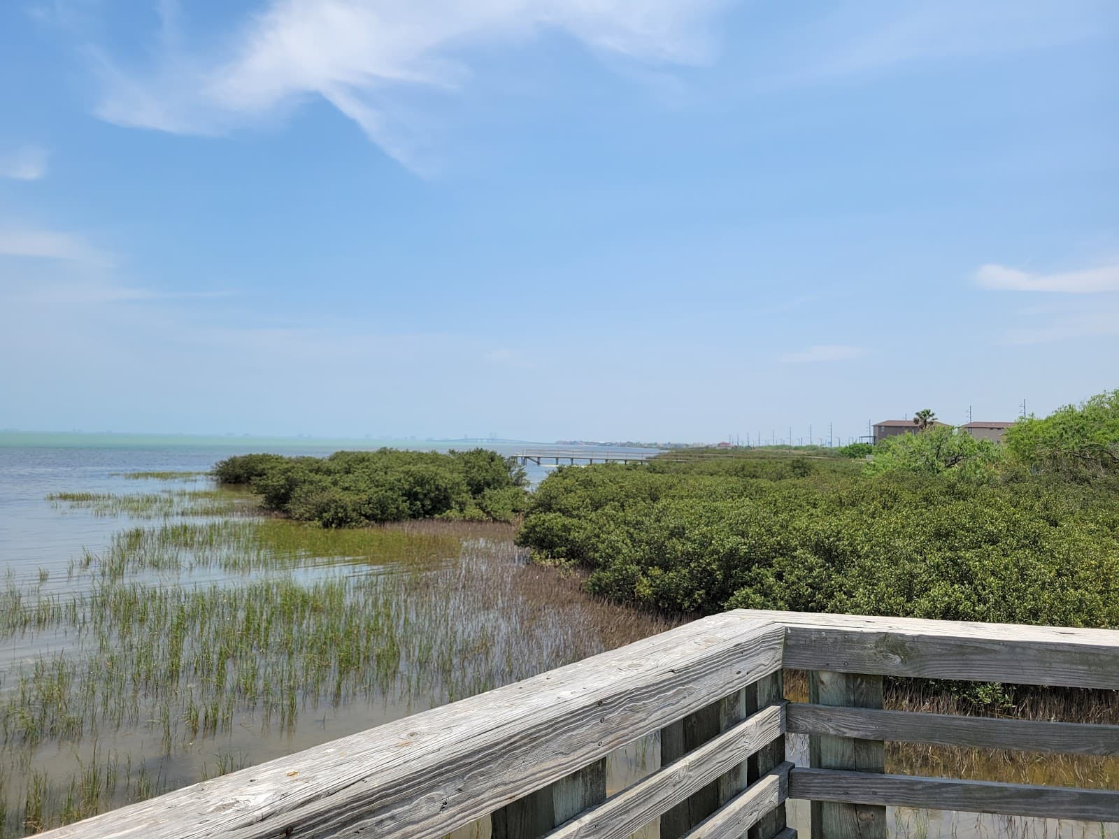 Bejarano-McFarland Memorial Park - Image 1