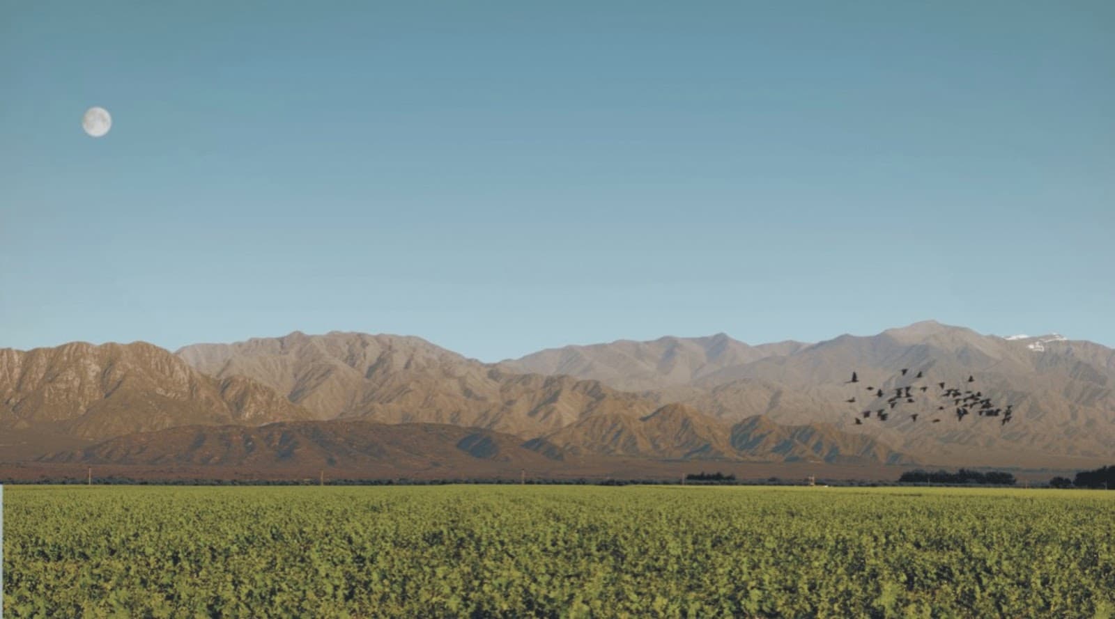 Bodega Valle de La Puerta - Image 1