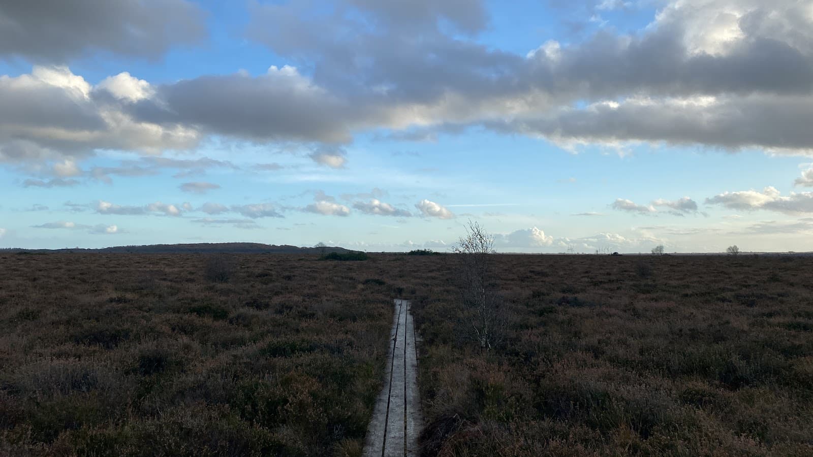 Lille Vildmose - Image 1