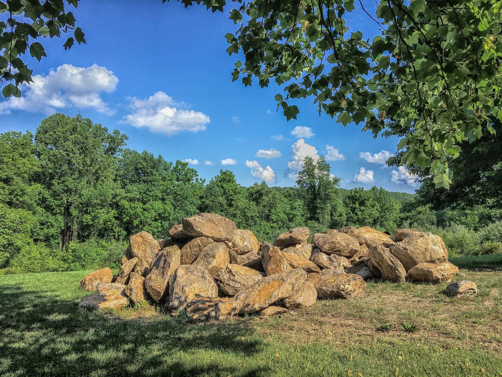 Birdwatching Opportunities