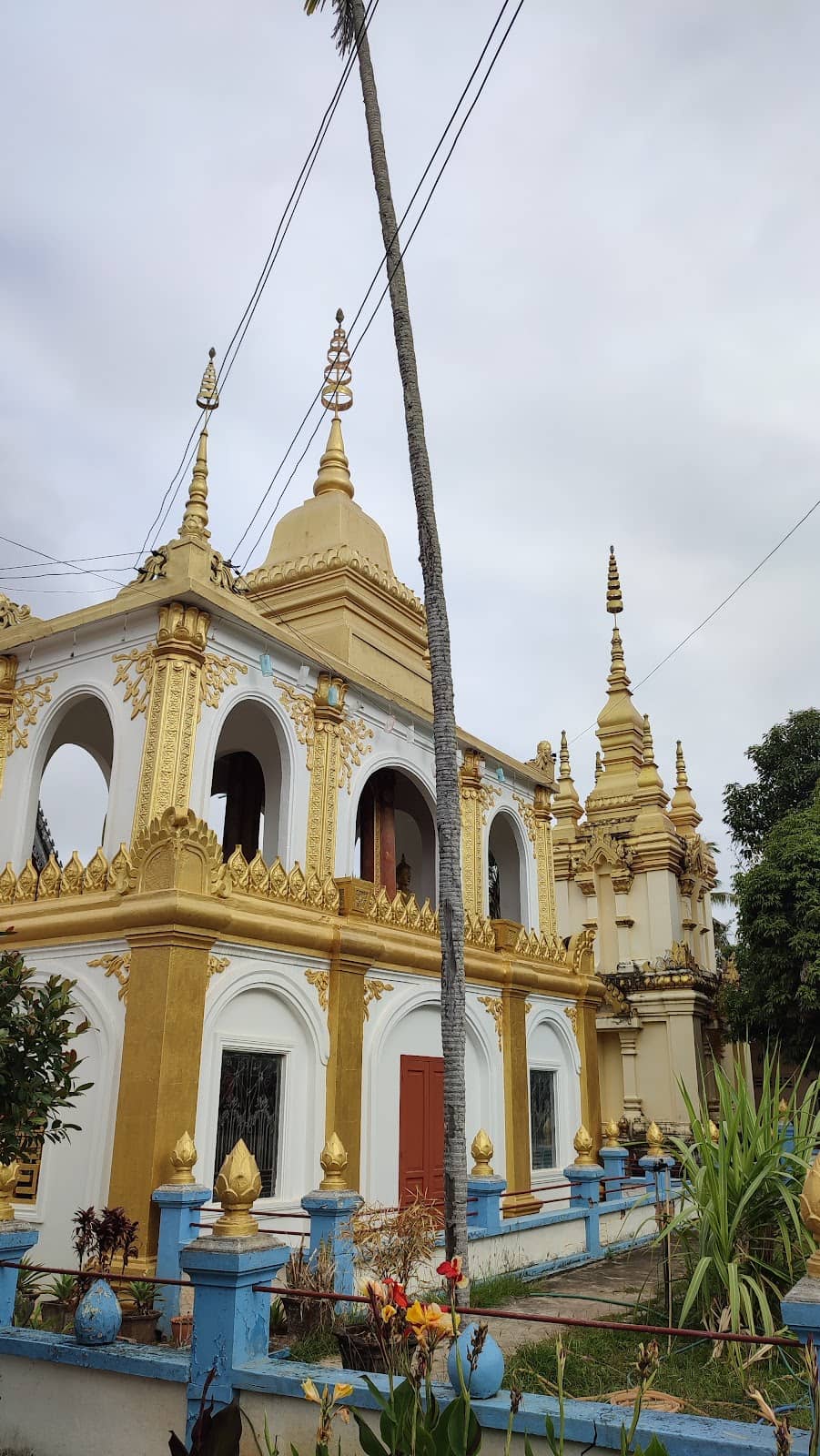 Vertical photo