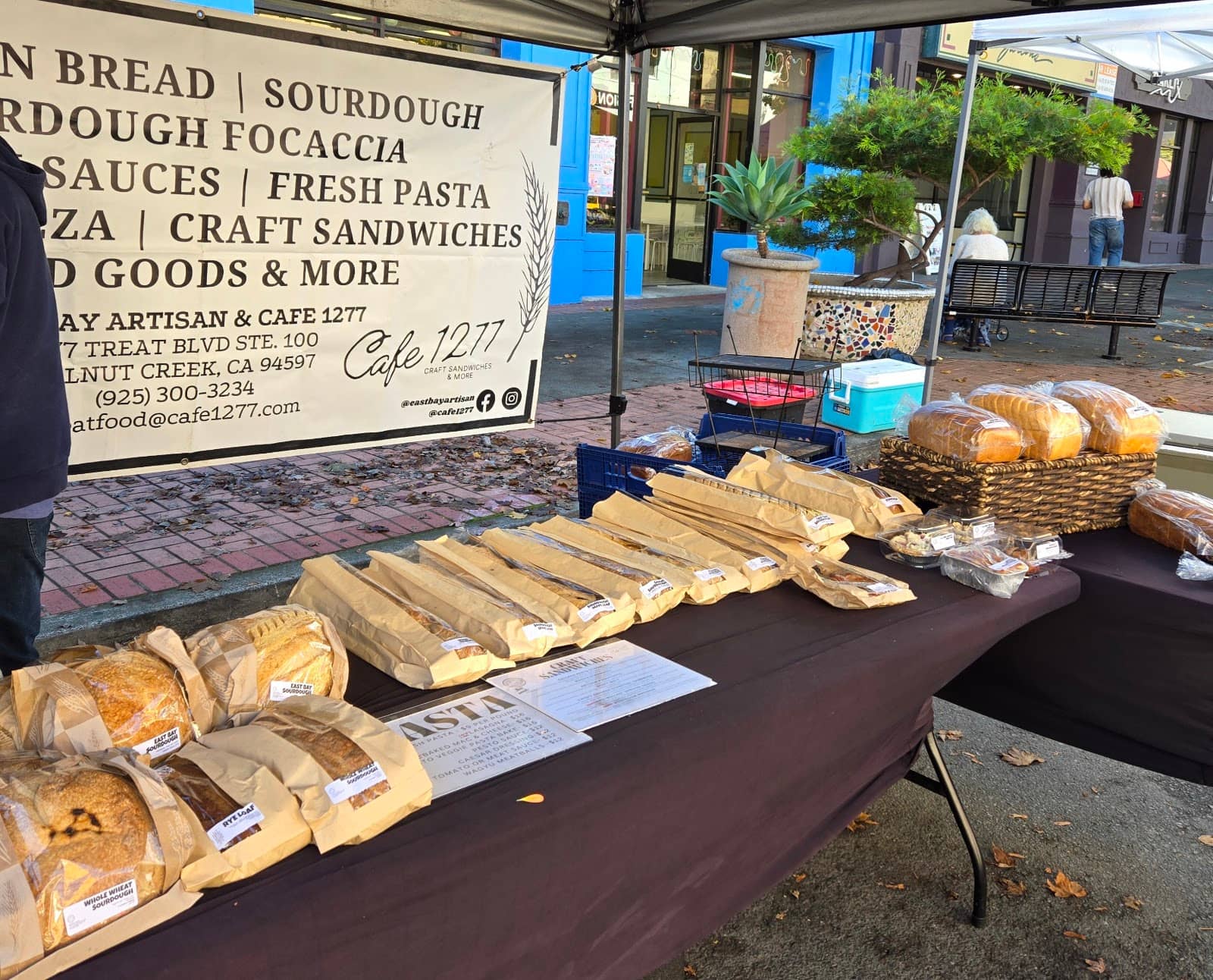 Live Music & Entertainment