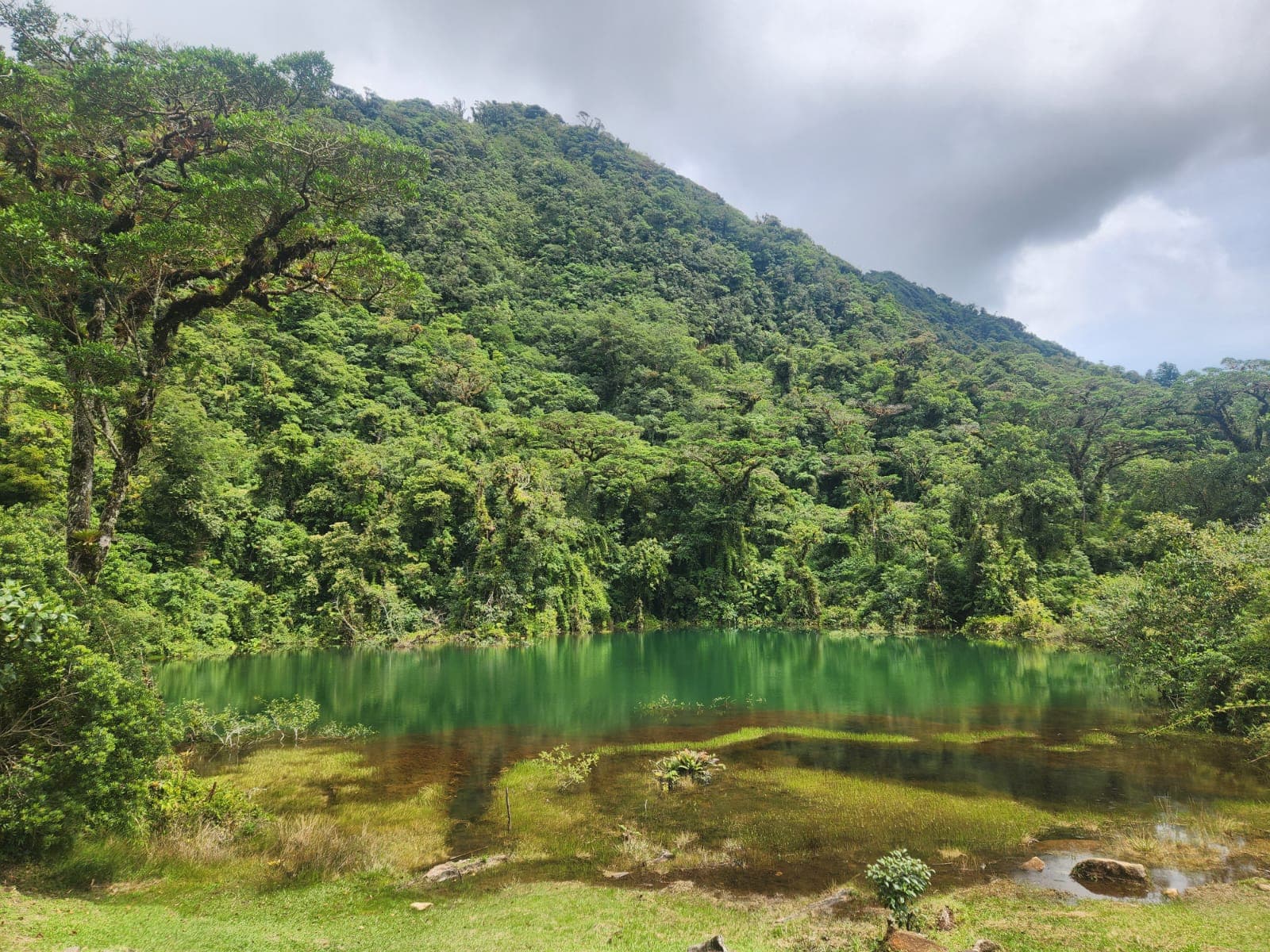 Juan Castro Blanco National Park - Image 1