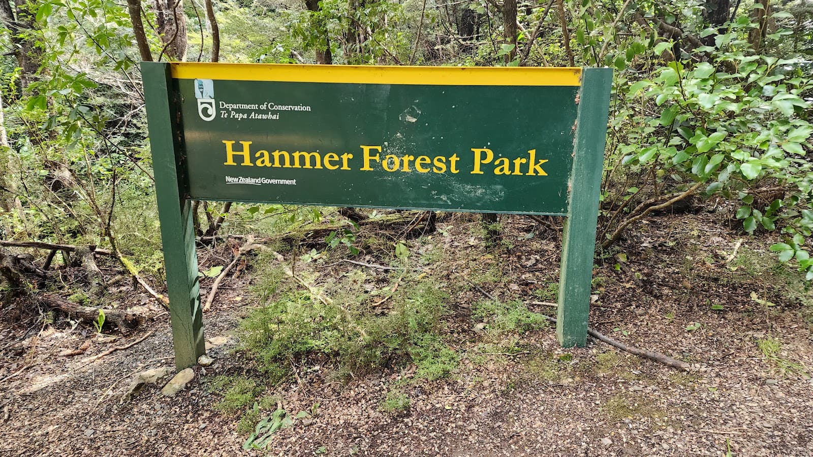 Hanmer Forest Park - Image 1
