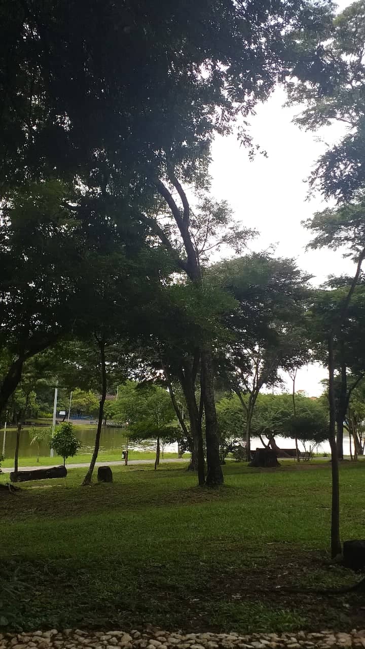 Green Spaces
