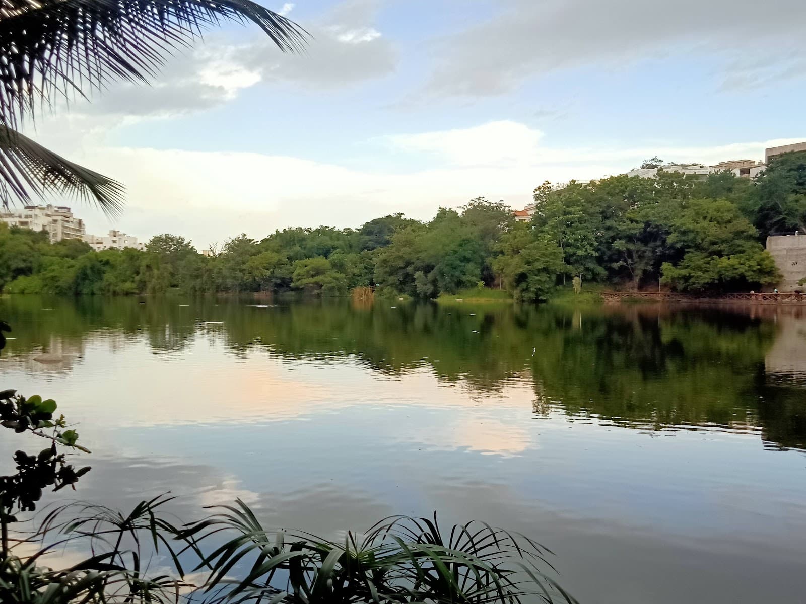 Lotus Pond - Image 1
